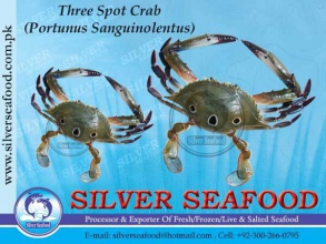Three-Spot-Crab