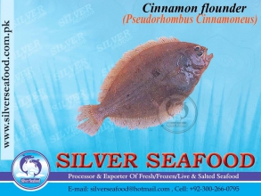 Cinnamon-flounder