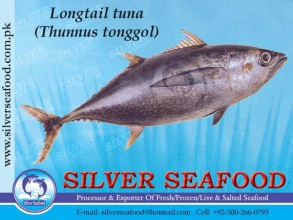 Longtail-tuna