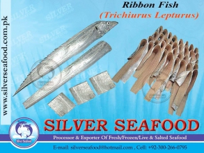 Ribbon-fish