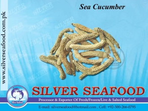 Sea-Cucumber