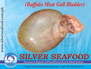 Buffalo-Meat-Gall-Bladder