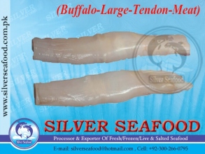 buffalo-Large-Tendon
