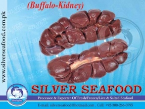 buffalo-kidney